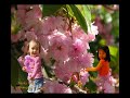 Ai Len Xu Hoa Dao Ai Len Xu Hoa Dao