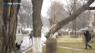 Наслідки вітру Сокаль