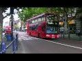 Lewisham: July 2011 Summer Observations
