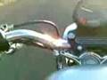 my sportster!