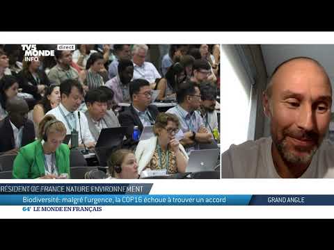 Image de prévisualisation YouTube