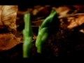 The Wonders of Hashem’s Creation & The Miracle of Life