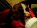 videos de PEQUEÑA MARIE