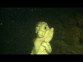 28-11-2011 door eridegro: de kolonisten van dongelberg.wmv http://gdata.youtube.com/feeds/base/videos/qjzoi32xwEw
