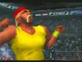 HCTP - Hulk Hogan