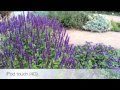 iPhone 4/iPod touch 4G: Videovergleich
