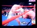 Chavez jr.-Munos
