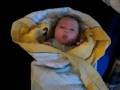 videos de babygirl.avi