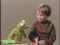 Sesame Street: Brian & Kermit Here And There