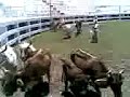 herrando en el lienzo charro