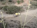 baja almazora baja almazora