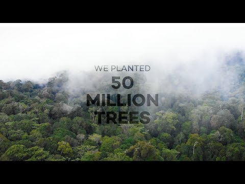 How 50 Million Trees Have Changed the World