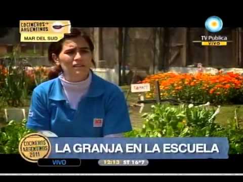 La huerta en la escuela