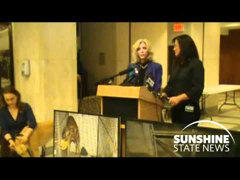 Sen. Maria Sachs and Rep. Dana Young discuss bills designed to reduce the number of live dog races in Florida on Jan. 17, 2012.