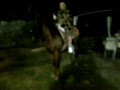 Jaripeo Caballo