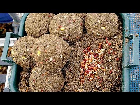 Весенняя прикормка для леща