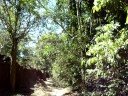 Surrounding Angkor\