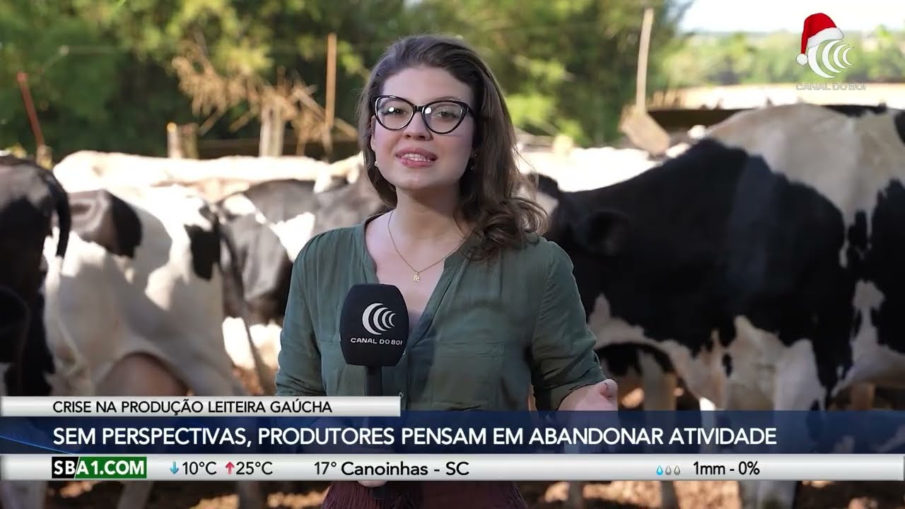 Eventos climáticos extremos marcaram agronegócio do Rio Grande do Sul