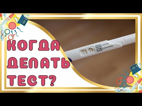 Видео: Самый точный тест на беременность