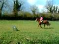 videos de * hehe tinyy jumpp *