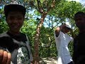 danyi