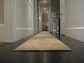Napoleon French Bulldog Puppy - Hallway Run