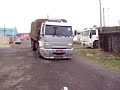 urso fiko o bicho