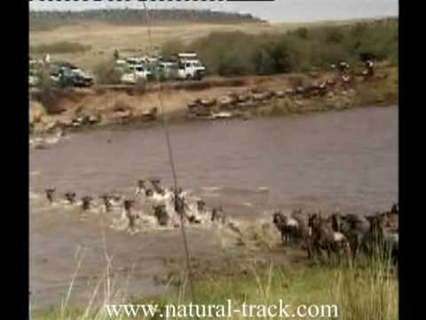 4 days Masai Mara Safari