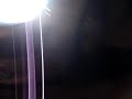 Clio 1.2 Patinando por un sueño