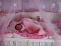videos de Minha Princesinha Isabela