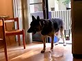 Max\