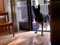 Max's visit