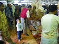 صبي الجزار مع المعلم في المسلخ