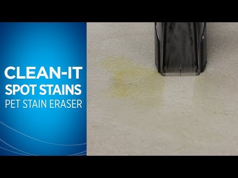 How do I Clean Spot Stains on Carpet with My Pet Stain Eraser™ Video