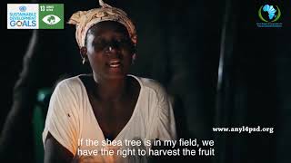 ANYL4PSD SDG 13 Tree Management for Climate Change Action