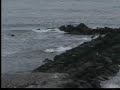 Giresun Tirebolu Giresun Tirebolu