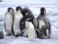 Postgraduate Research in Antarctica