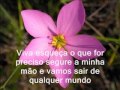 olhar e viver   