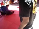 Daigoro jiu jitsu Daigoro jiu jitsu