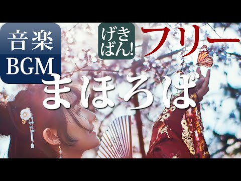 動画