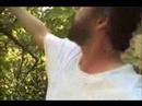 EatTheWeeds: Episode 27: Chickasaw Plum