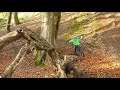 Cavehill Winter Mash Up