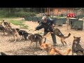 Kate Plus 8 1.05 (Preview)