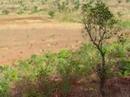 Centro Ghélawé Agricoltura e allevamento in Burkina Faso