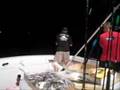 Yellowfin Tuna Fishing