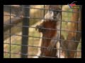 Johor Bahru Zoo