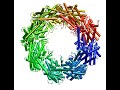 Chaperonin transition from open to closed conformation Chaperonin transition from open to closed conformation