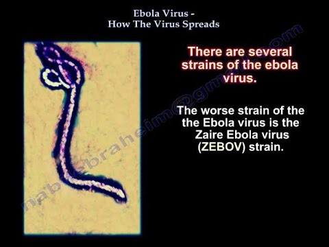 how to know ebola virus