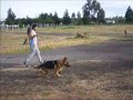 videos de USSY VON KLAUSS al trote