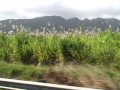 VID00109.AVI